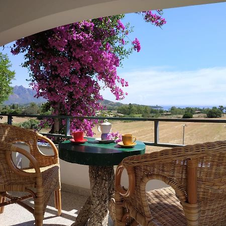 Vacanza In Ogliastra แตร์เตนิอา ภายนอก รูปภาพ