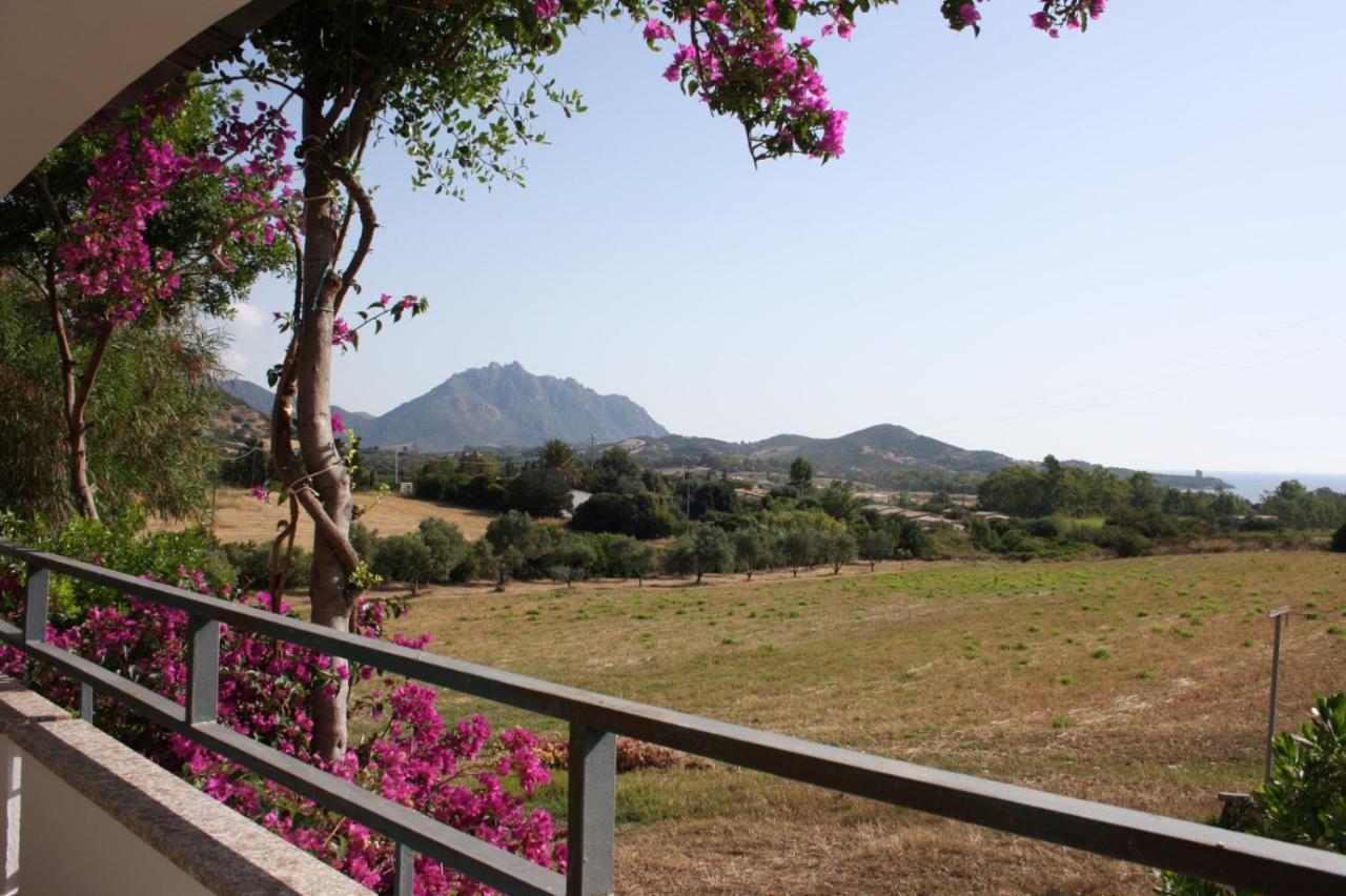 Vacanza In Ogliastra แตร์เตนิอา ภายนอก รูปภาพ
