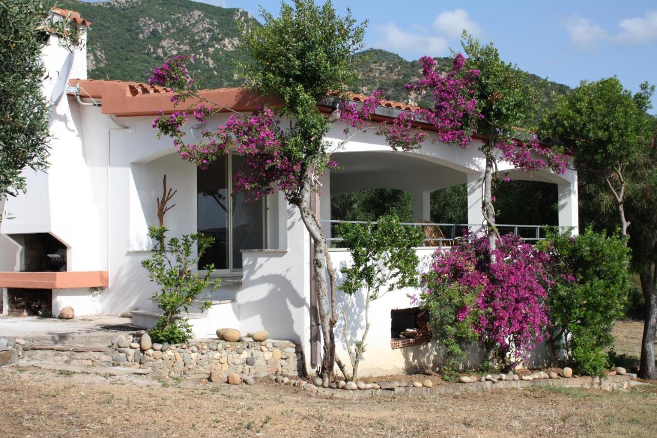 Vacanza In Ogliastra แตร์เตนิอา ภายนอก รูปภาพ