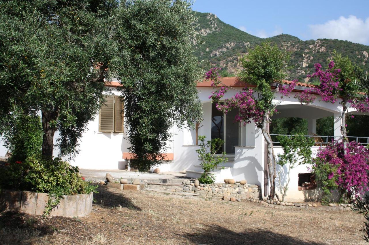 Vacanza In Ogliastra แตร์เตนิอา ภายนอก รูปภาพ
