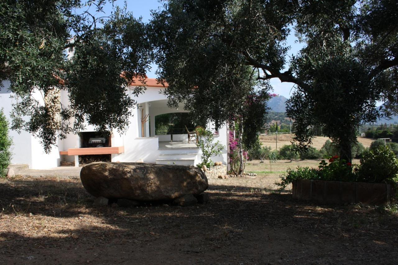 Vacanza In Ogliastra แตร์เตนิอา ภายนอก รูปภาพ