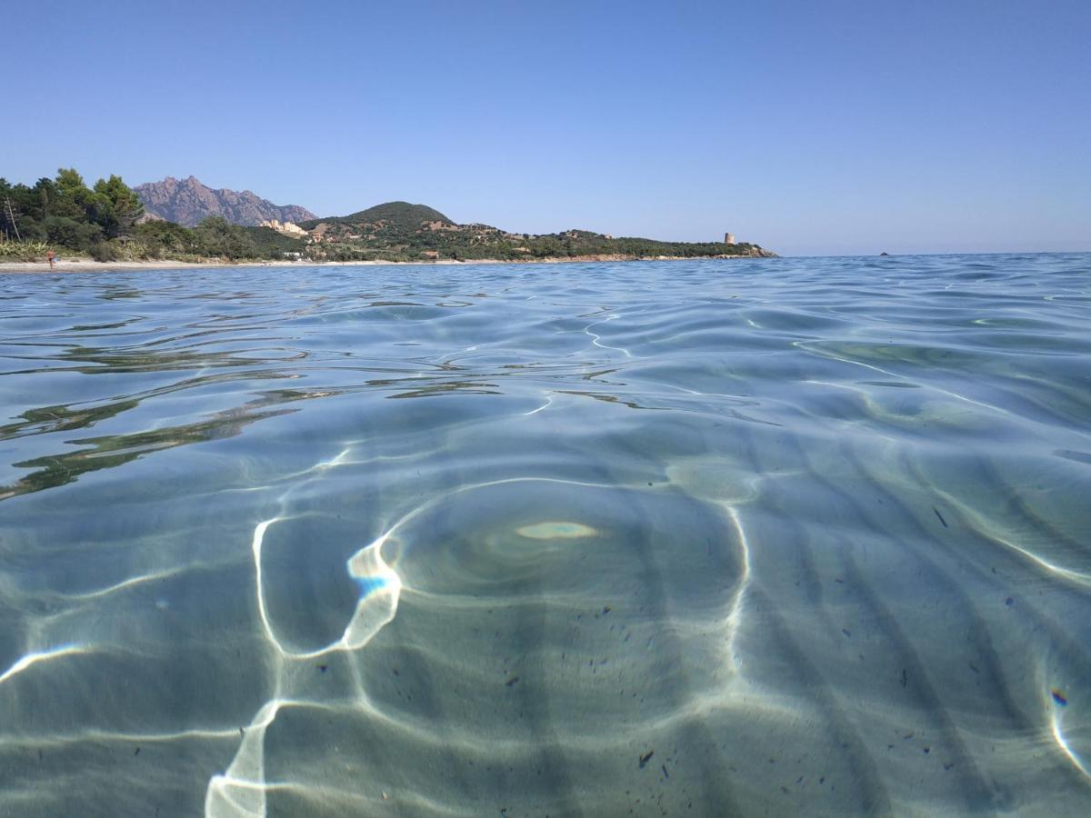Vacanza In Ogliastra แตร์เตนิอา ภายนอก รูปภาพ