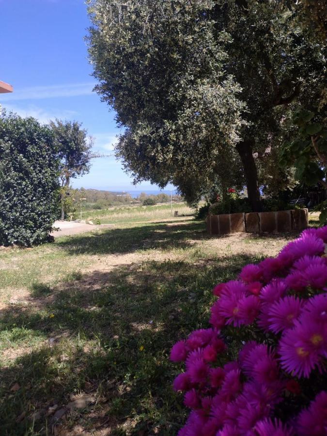 Vacanza In Ogliastra แตร์เตนิอา ภายนอก รูปภาพ