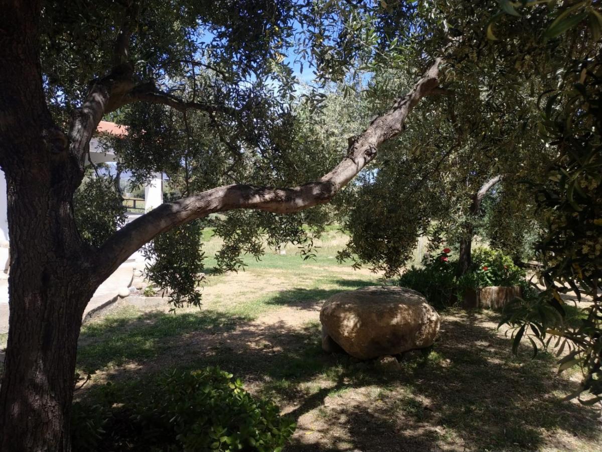 Vacanza In Ogliastra แตร์เตนิอา ภายนอก รูปภาพ