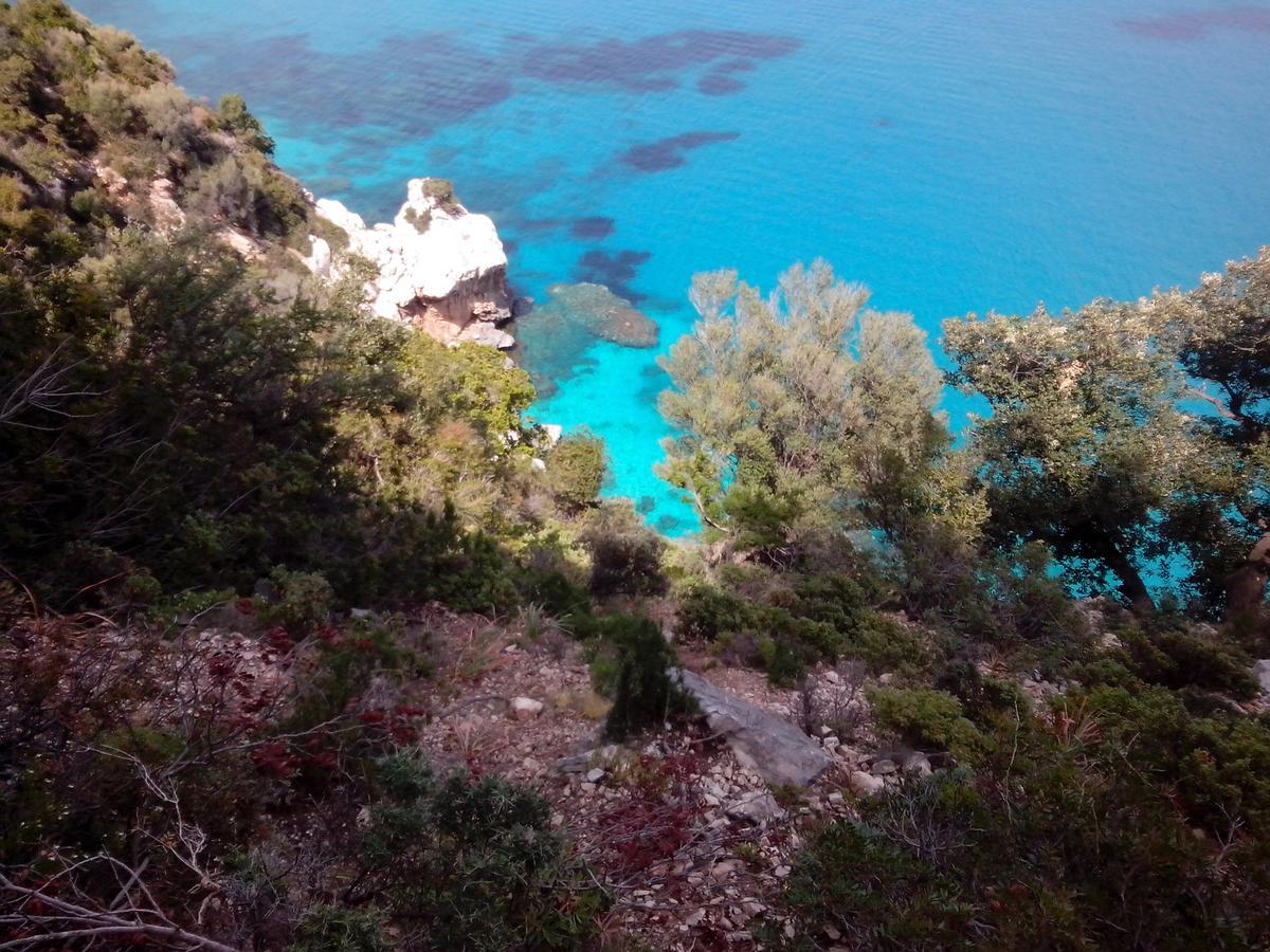Vacanza In Ogliastra แตร์เตนิอา ภายนอก รูปภาพ