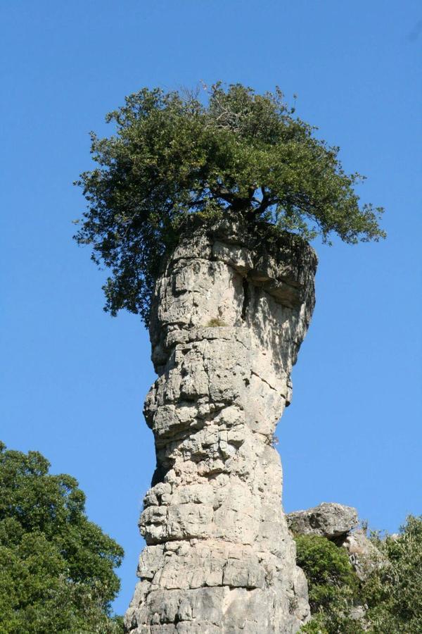 Vacanza In Ogliastra แตร์เตนิอา ภายนอก รูปภาพ