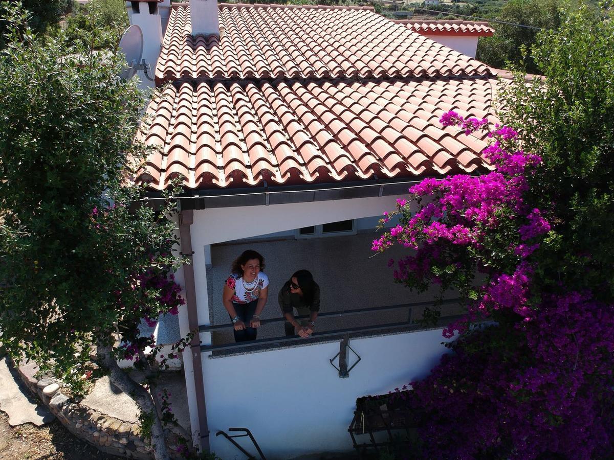 Vacanza In Ogliastra แตร์เตนิอา ภายนอก รูปภาพ