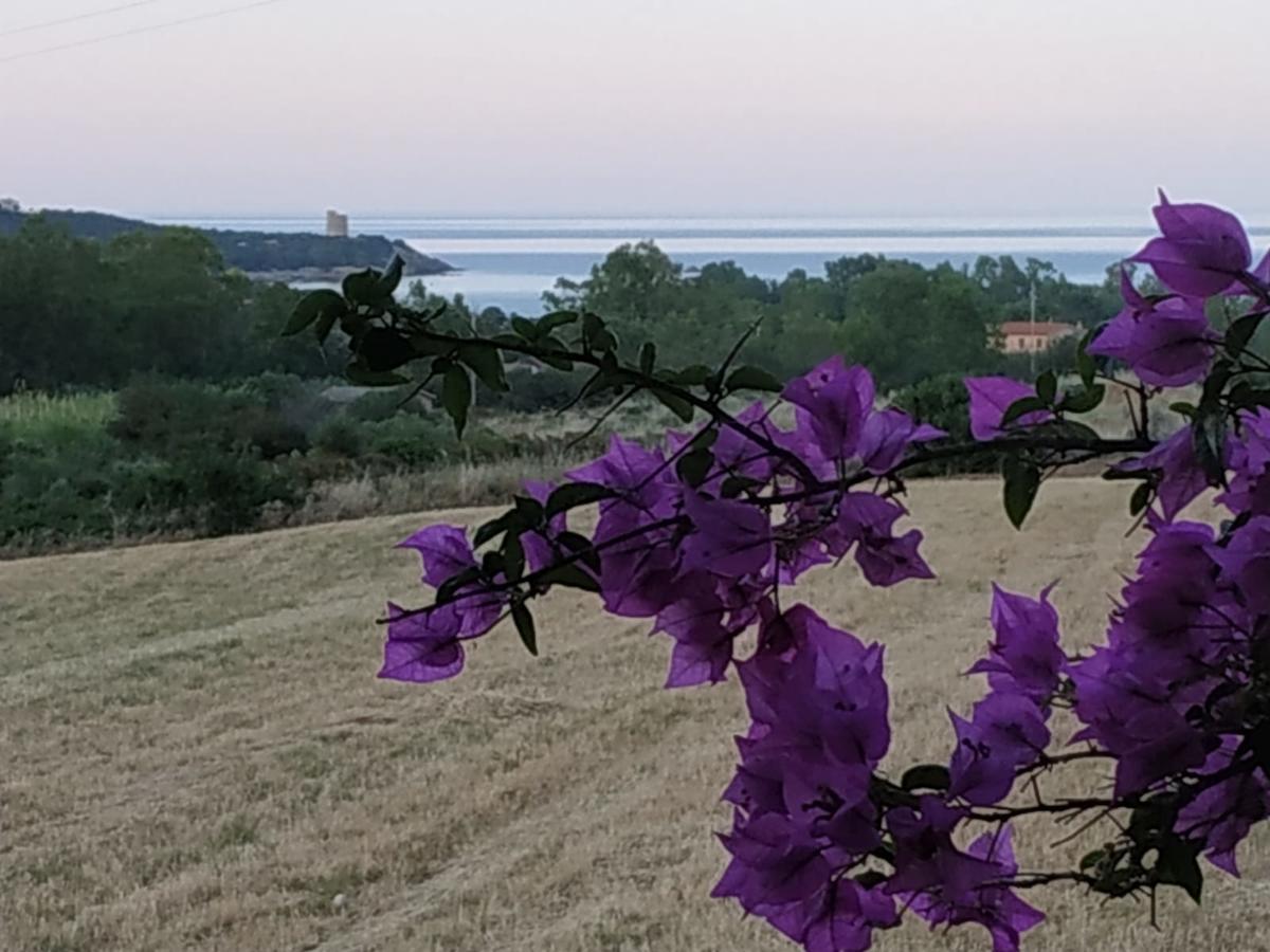 Vacanza In Ogliastra แตร์เตนิอา ภายนอก รูปภาพ